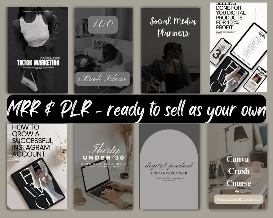 DWA - Digital Wealth Academy MRR Course with 20 Bonusses with PLR