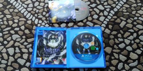 Anima: Gate of Memories (Playstation 4)