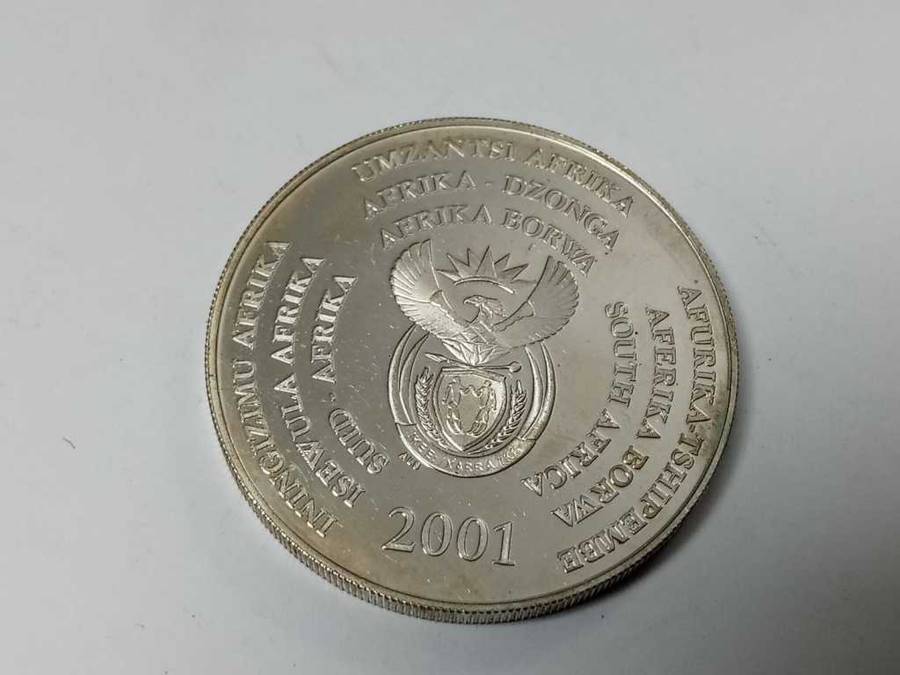 DISCOUNT!!! Silver 2001 Two Rand Dolphins