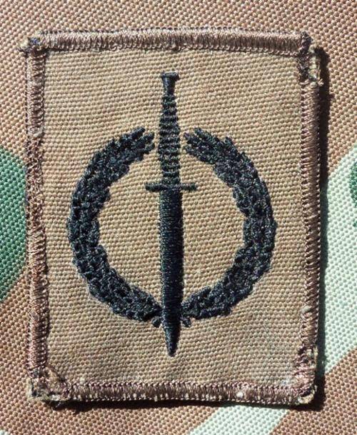 Recce Operator Proficiency Badge on Nutria with a Brown Merrow border - ORIGINAL !!