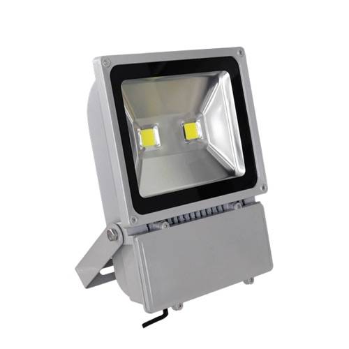 100w led flood light (R299 only for one mouth)