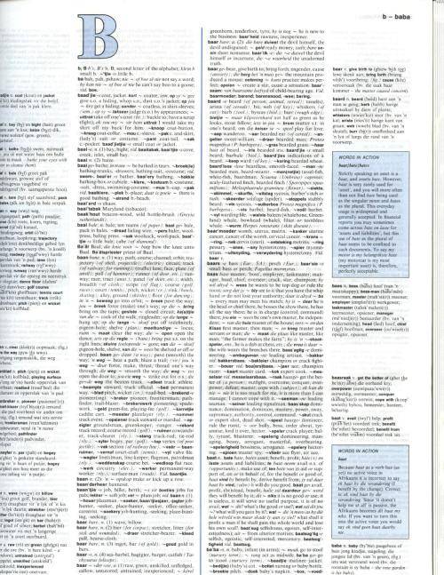 Afrikaans-English, English-Afrikaans Dictionary