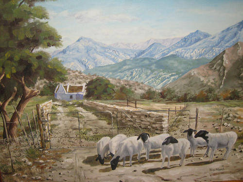 Marius Wessels (South African)