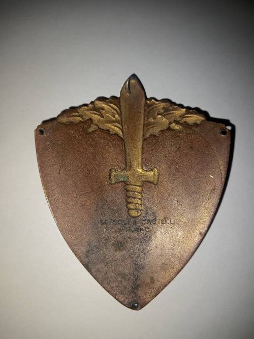 WW2 Italian 3rd Alpine Division Julia Metal Arm Badge