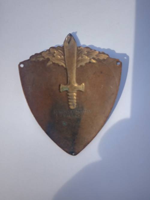 WW2 Italian 3rd Alpine Division Julia Metal Arm Badge