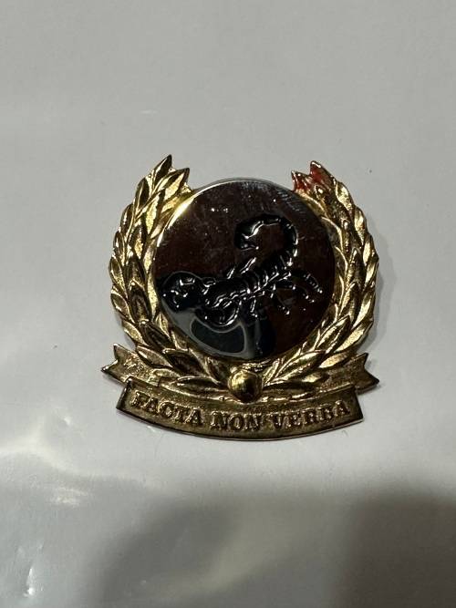 Gatsrand Commando Beret Badge