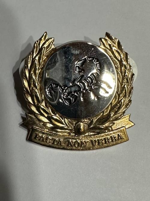 Gatsrand Commando Beret Badge