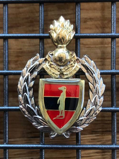 6 Field Engineer Regiment