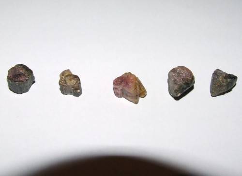 Watermelon Tourmaline - small rough pieces x 1