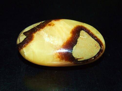 Septerye