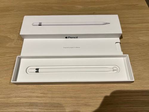 Apple IPad Pro 9.7 Inch | Wifi and Cellular | 256 Gb Storage | Apple Pencil, Case and Cover Included