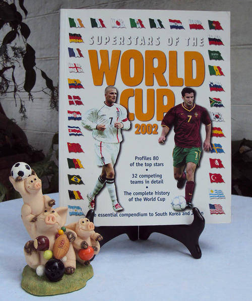 SERIOUS COLLECTORS ITEMS~WORLD CUP SOCCER HISTORY~ THE PLAYERS~284 PAGES~CORRIDGE ITEM~R1 START~WOW!
