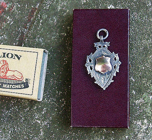 COMBINATION 9CT GOLD/STERLING SILVER HM PENDANT~B'HAM 1909