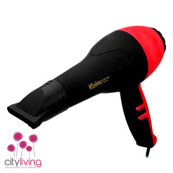 Professional 1800 Watts Hair Dryer