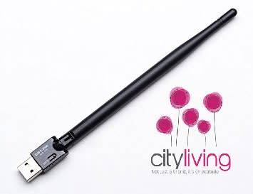 USB WIFI Antenna