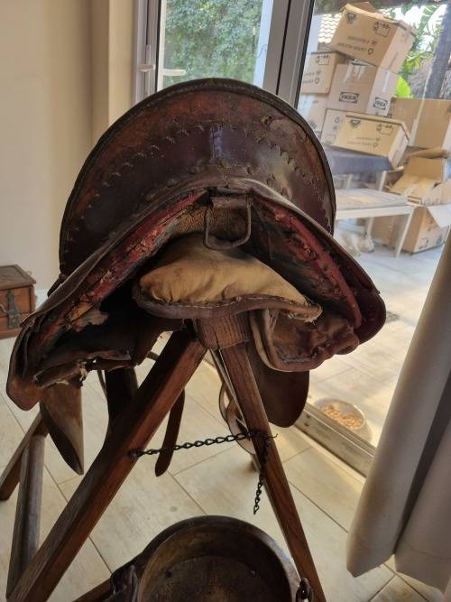 Napoleon`s Mules Saddle