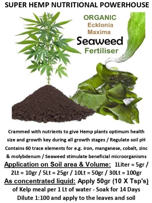 KELP MEAL *SPECIAL*  5 Litres of Fine Organic Natural Fertiliser : (Approx. 3.5Kg)