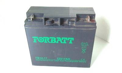 Electric Golf Cart Battery