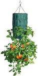 Upside Down Tomato Planter