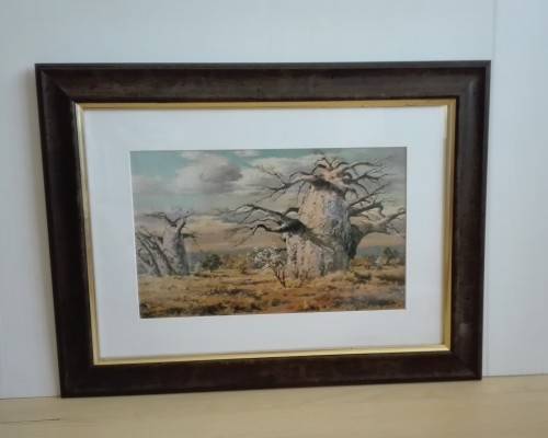 Framed Print : Baobab Trees