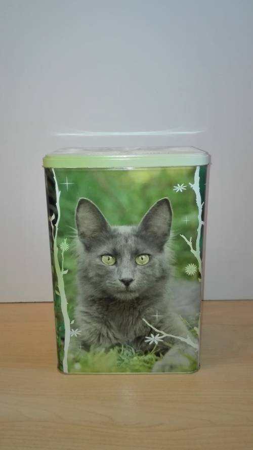 Cat Tin - Empty