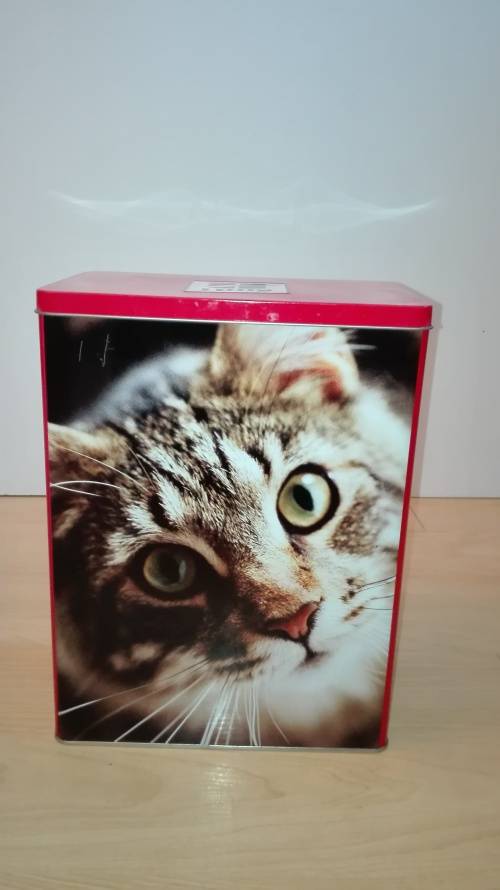Cat Tin - Empty