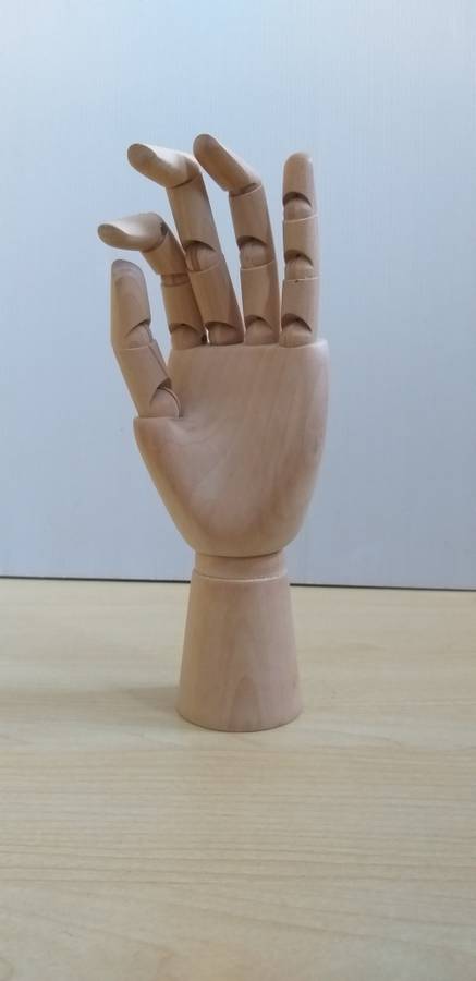 Jewellery Display Wooden Hand Mannequin