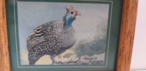 Small Framed Guinea Fowl Print (11cm x 9cm)