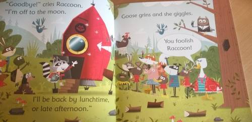 Raccoon on the Moon: Russell Punter & David Semple (Usborne Phonics Readers) Paperback