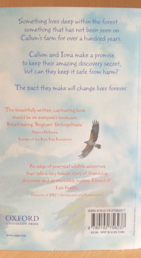Sky Hawk: Gill Lewis (Paperback)