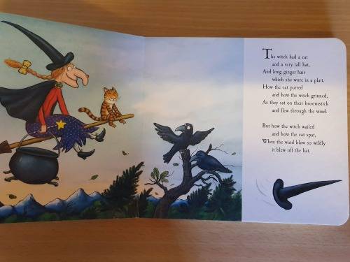 Room on the Broom : Julia Donaldson (Hardcover)