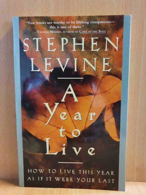 A Year to Live : Stephen Levine (Paperback)