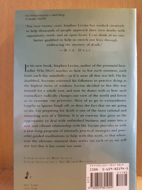 A Year to Live : Stephen Levine (Paperback)