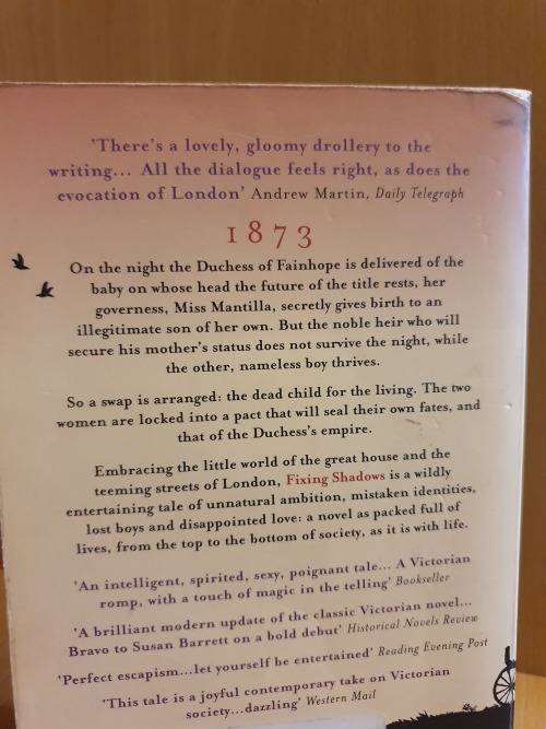 Fixing Shadows: Susan Barrett (Paperback)