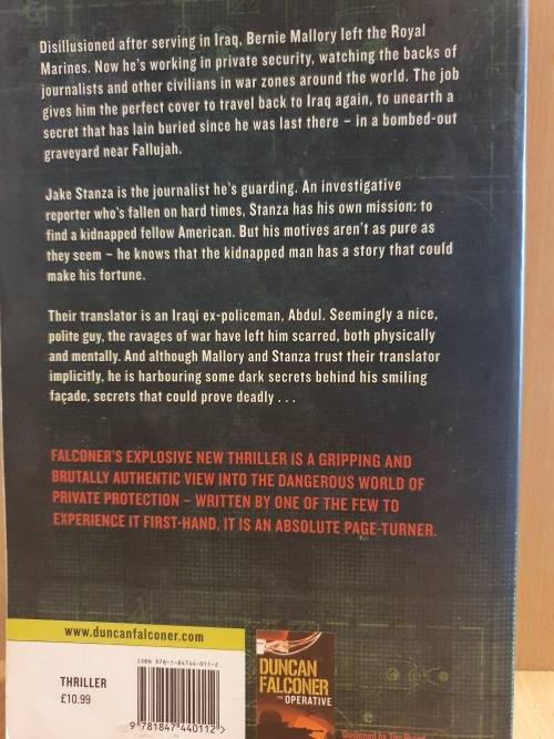 The Protector: Duncan Falconer (Paperback)
