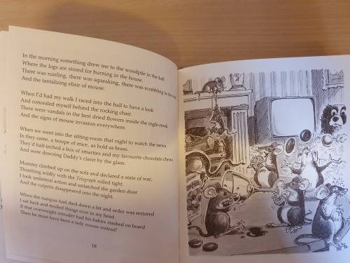 Paws Forever : Maureen Melvin (Hardcover)