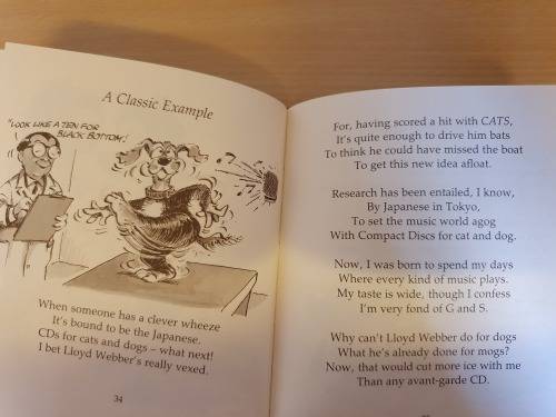 Paws Forever : Maureen Melvin (Hardcover)