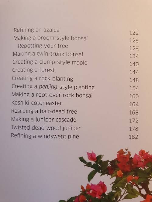 DK - Bonsai - Techniques, Styles, Display Ideas (Hardcover)