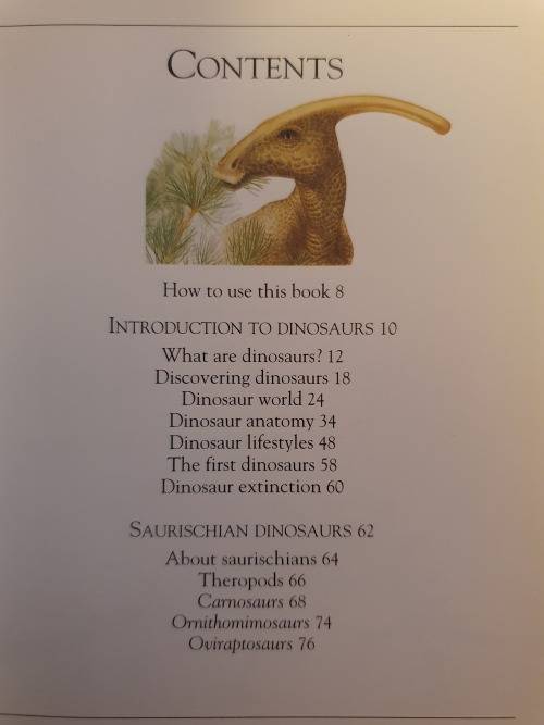 Pockets - Dinosaurs (Paperback)