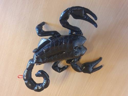 Trudi Scorpion, Black - Made in Italy