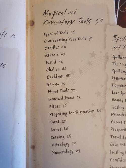 The Witch`s Journal - Charms, Spells, Potions and Enchantments: Selene Silverwind (Hardcover)