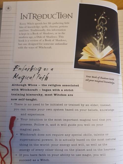 The Witch`s Journal - Charms, Spells, Potions and Enchantments: Selene Silverwind (Hardcover)