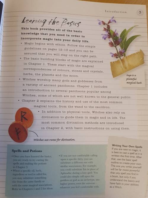 The Witch`s Journal - Charms, Spells, Potions and Enchantments: Selene Silverwind (Hardcover)