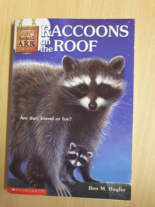 Animal Ark - Raccoons on the Roof : Ben M. Baglio (Paperback)