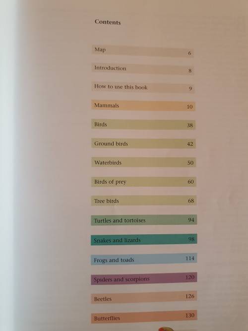 The Bikini Body - 28 Day Healthy Eating & Lifestyle Guide by Kayla Itsines (Paperback)