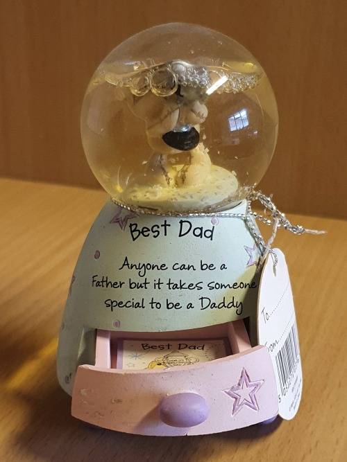 Best Dad Snow Globe (height 9cm width 7cm)