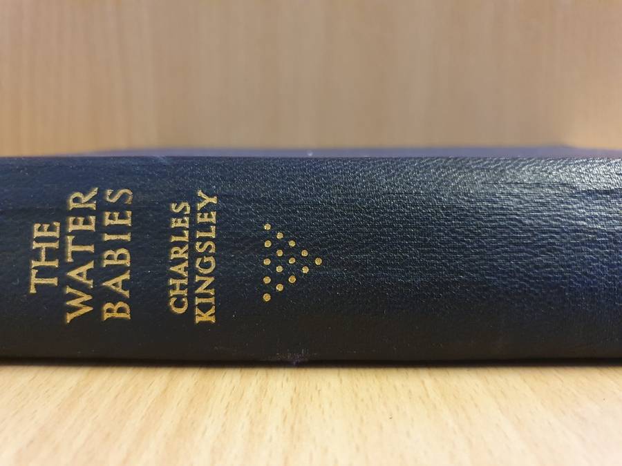 The Water Babies: Charles Kingsley (Hardcover)