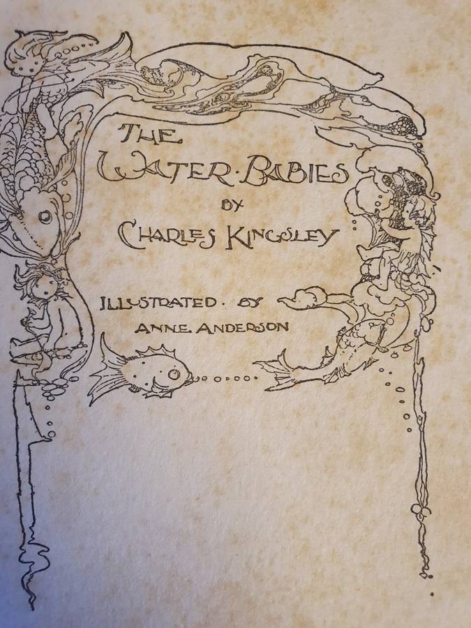 The Water Babies: Charles Kingsley (Hardcover)