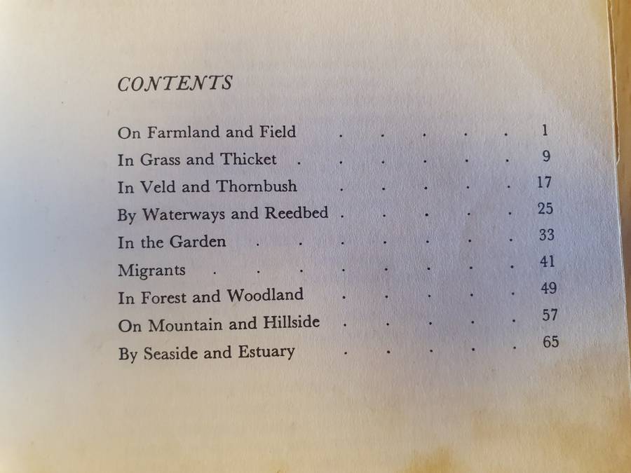What Bird is That? Hazel Stokes (Paperback)