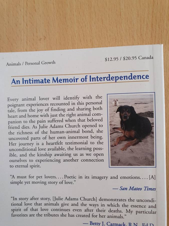 Uncommon Friends - Celebrating the Human-Animal Bond: Julie Adams Church (Paperback)
